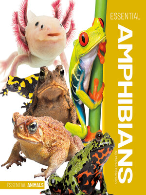 cover image of Essential Amphibians